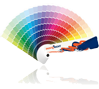 Colour Wall
