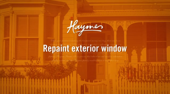 trims and windows