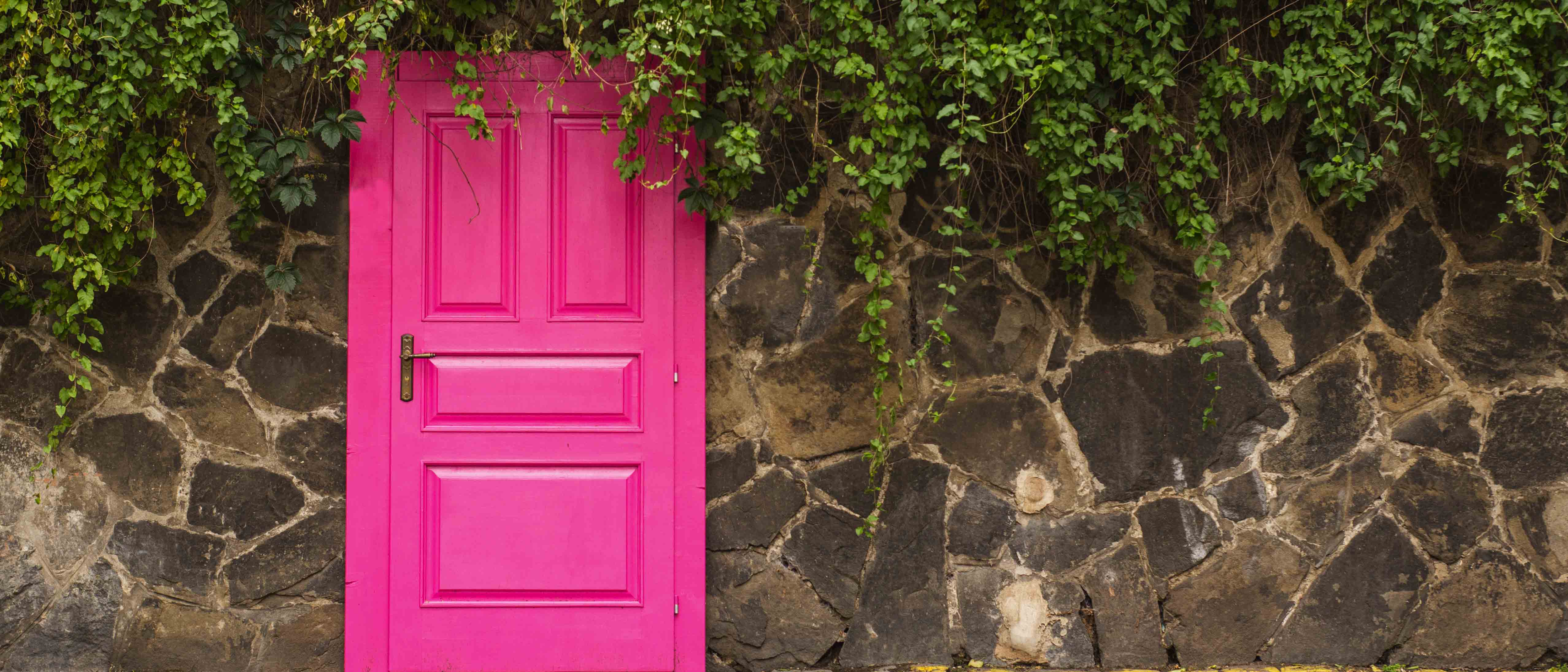 PaintRight How To Paint Your Front Door To Enhance Your Curb Appeal 