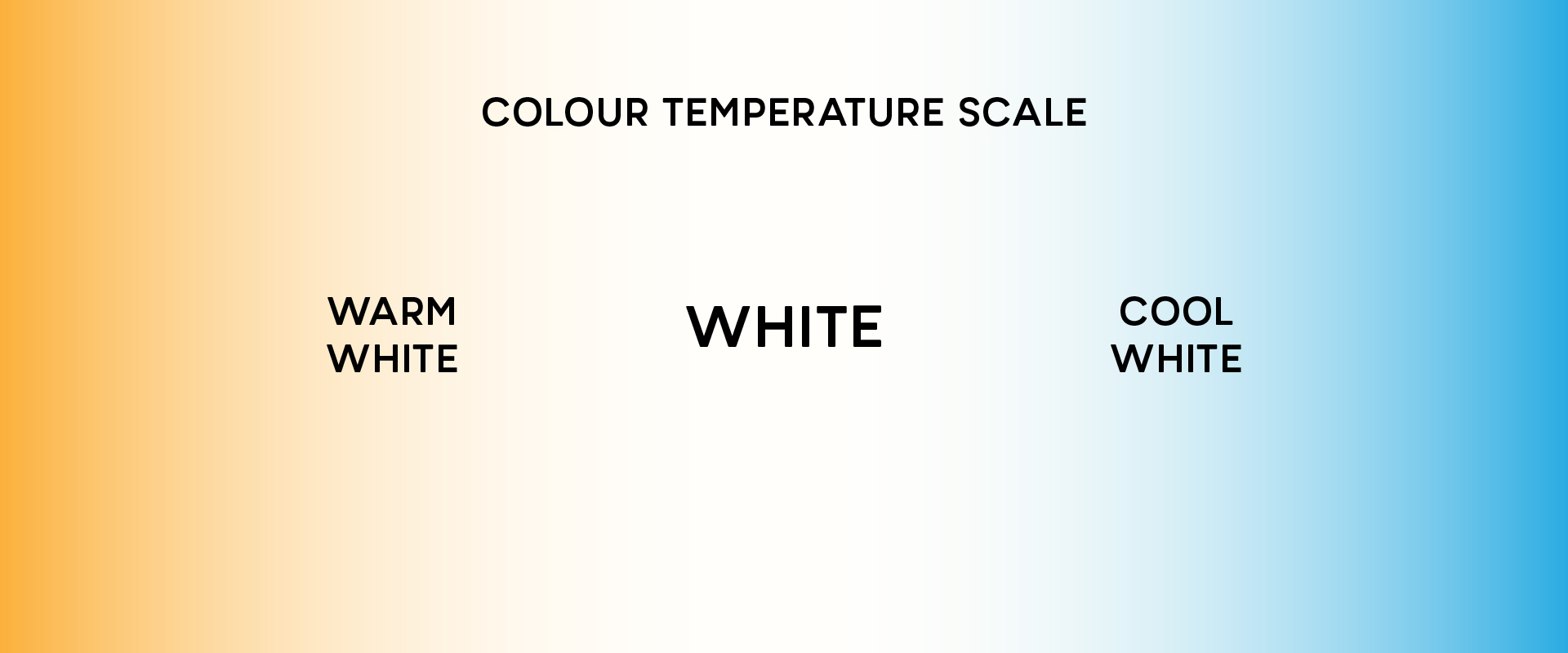 Warm White vs Cool White: Which Should You Choose?